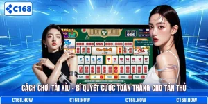 cách chơi tài xỉu