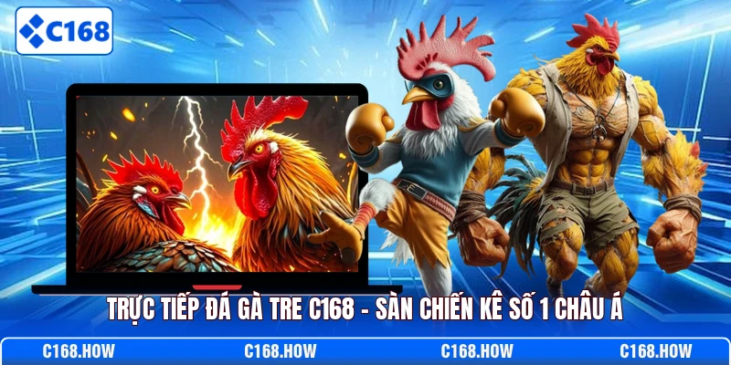 Trực tiếp đá gà tre